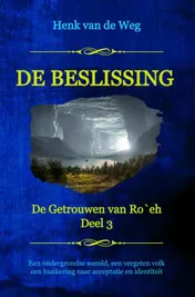Omslag van De beslissing