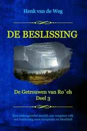 Omslag van De beslissing