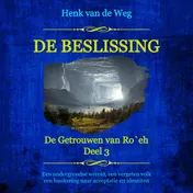 Omslag van De beslissing