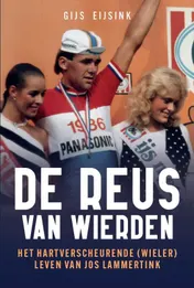 Omslag van De reus van Wierden