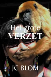 Omslag van Het grote verzet