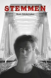 Omslag van Stemmen