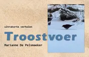 Omslag van Troostvoer