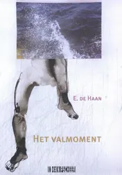 Omslag van Het valmoment