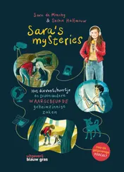 Omslag van Sara's mysteries