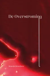 Omslag van De overstroming