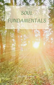 Omslag van Soul Fundamentals