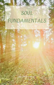 Omslag van Soul Fundamentals
