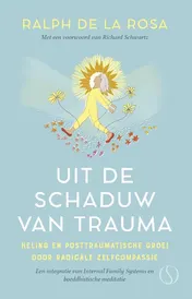 Omslag van Uit de schaduw van trauma