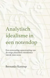 Omslag van Analytisch idealisme in een notendop