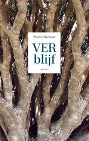 Omslag van Verblijf