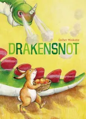 Omslag van Drakensnot