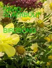Omslag van David Claerbout – Birdsong
