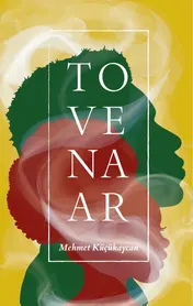 Omslag van Tovenaar