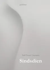 Omslag van Sindsdien