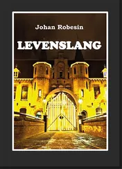 Omslag van Levenslang