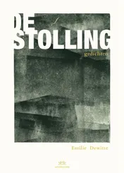Omslag van De stolling