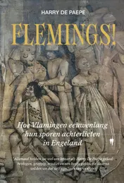 Omslag van Flemings!