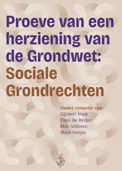 Omslag van Proeve van een herziening van de Grondwet: Sociale Grondrechten