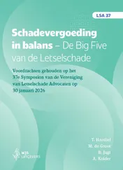Omslag van Schadevergoeding in balans. De Big Five van de Letselschade
