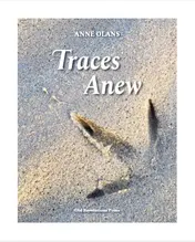 Omslag van Traces Anew