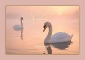 Omslag van Jij & Ik — in memoriam