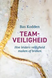 Omslag van Teamveiligheid