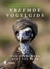Omslag van Vreemde vogelgids