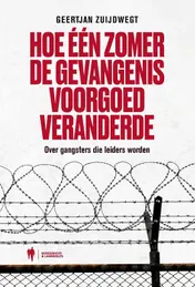 Omslag van Hoe één zomer de gevangenis voorgoed veranderde