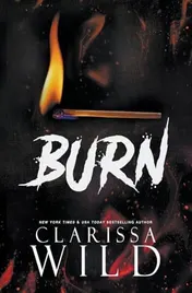 Omslag van Burn