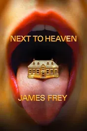 Omslag van Next To Heaven A Novel