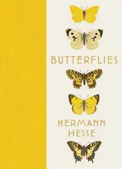 Omslag van Butterflies Reflections, Tales, and Verse