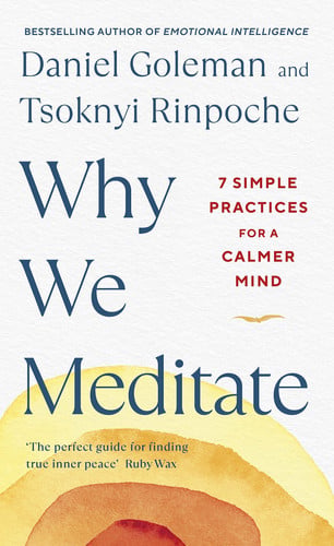 Omslag van Why We Meditate 7 Simple Practices for a Calmer Mind