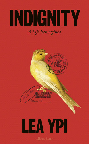 Omslag van Indignity (International Edition)