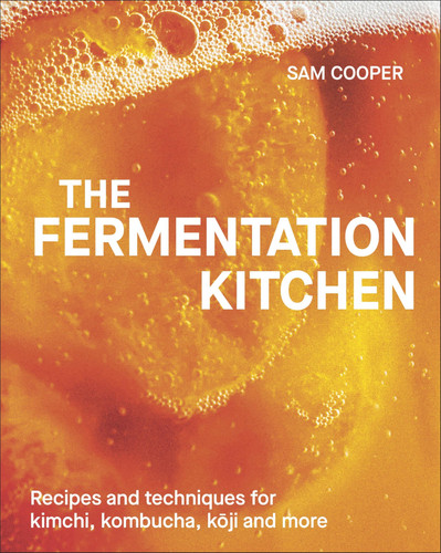 Omslag van DK The Fermentation Kitchen anglais.