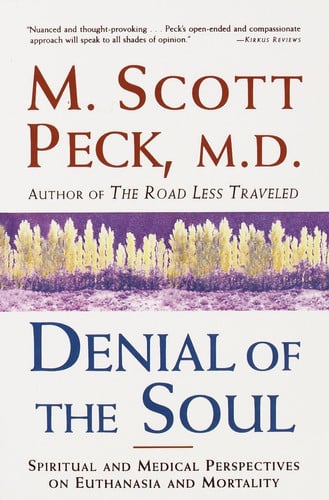 Omslag van Denial of the Soul Spiritual and Medical Perspectives on Euthanasia and Mortality