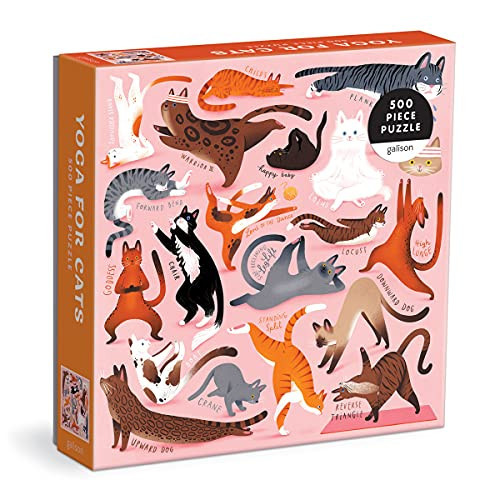 Omslag van Yoga for Cats