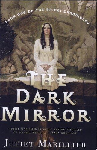 Omslag van The Dark Mirror Book One of the Bridei Chronicles
