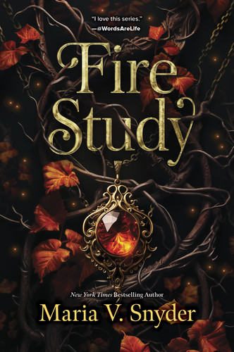 Omslag van Fire Study A Novel