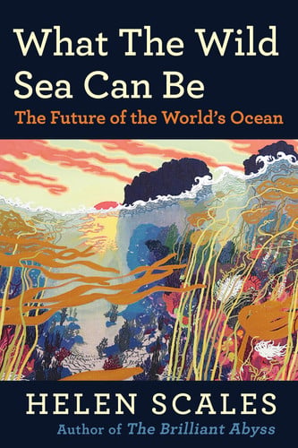 Omslag van What the Wild Sea Can Be The Future of the World's Ocean
