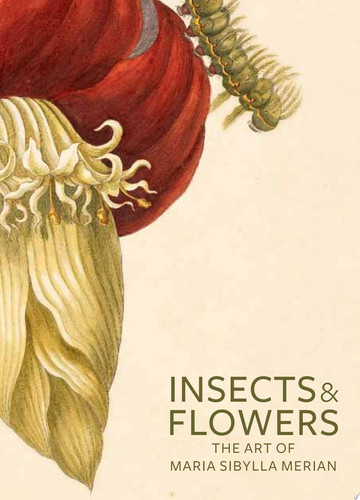 Omslag van Insects & Flowers The Art of Maria Sibylla Merian