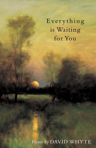 Omslag van Everything is Waiting for You Poems