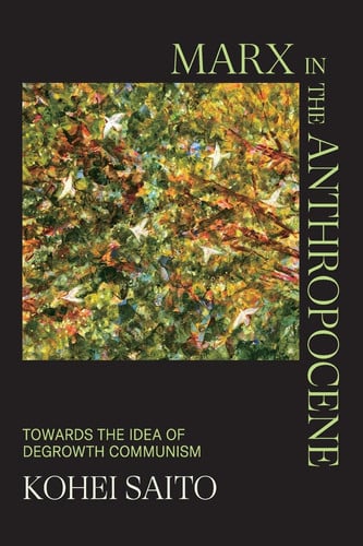 Omslag van Marx in the Anthropocene Towards the Idea of Degrowth Communism