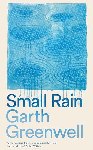 Omslag van Small Rain