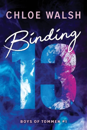 Omslag van Binding 13