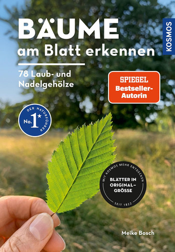 Omslag van Bäume am Blatt erkennen 78 Laub- und Nadelgehölze : Blätter in Originalgröße