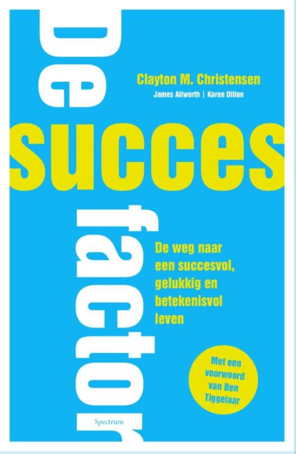 Omslag van De succesfactor