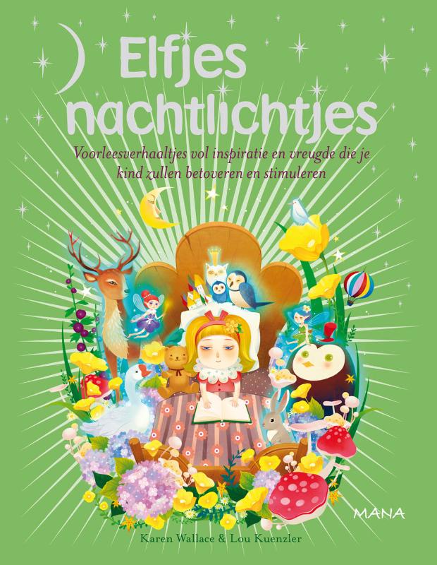 Omslag van Elfjes nachtlichtjes