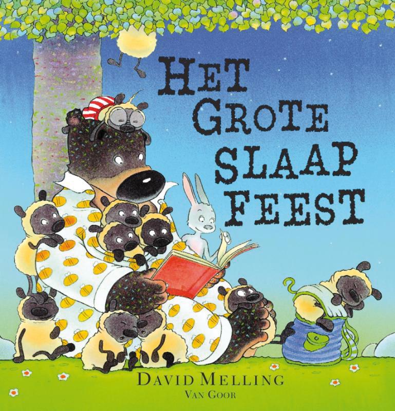 Omslag van Het grote slaapfeest