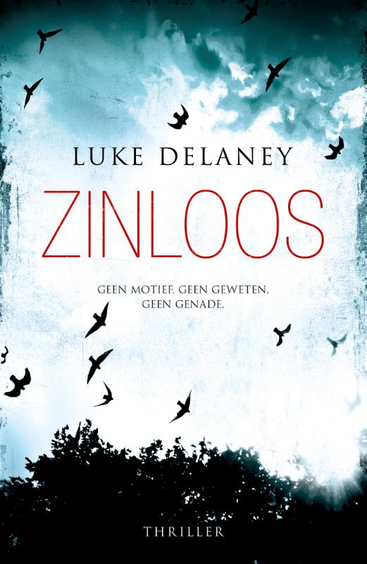 Omslag van Zinloos